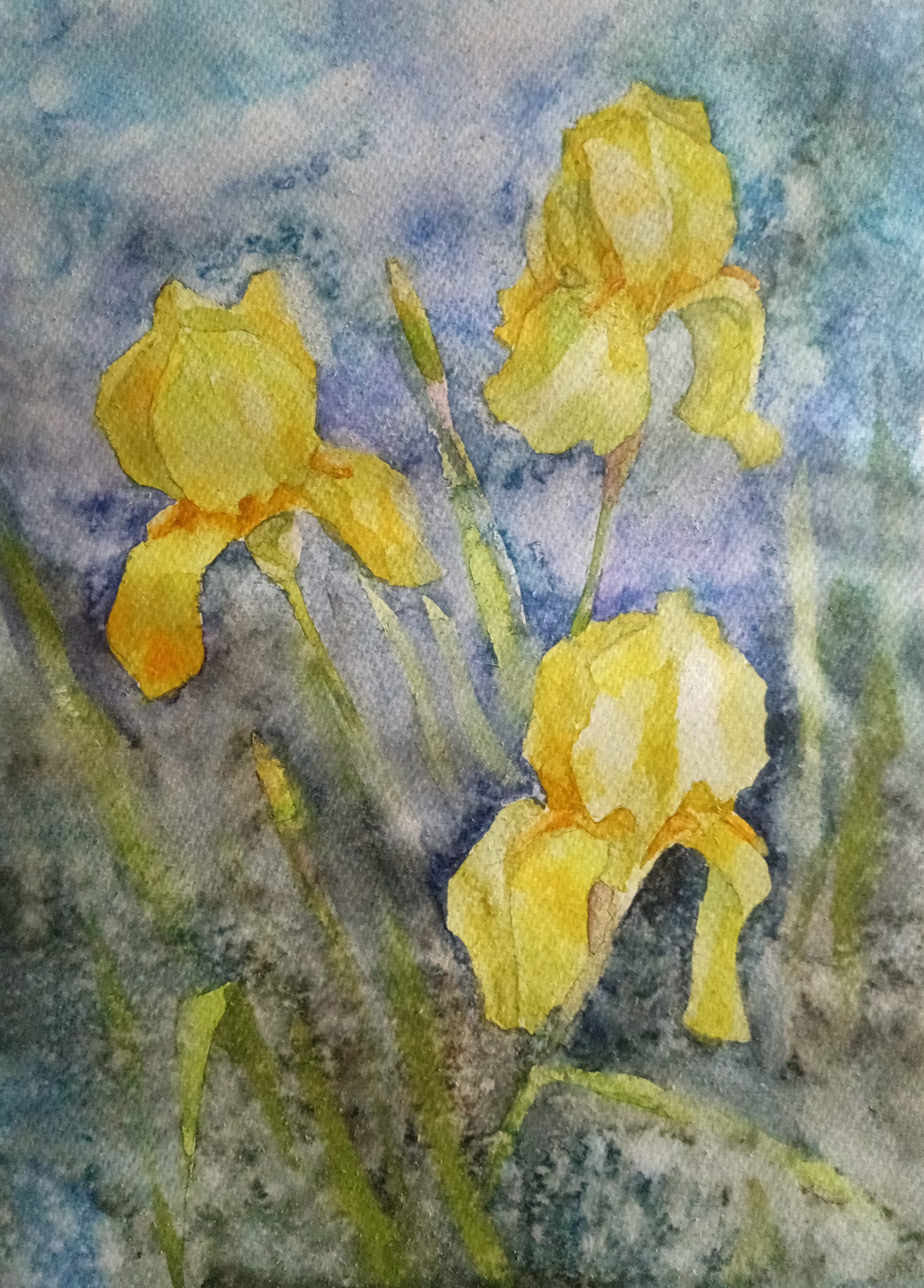 Flowers watercolour — watercolour by Serhii Shcherbakov