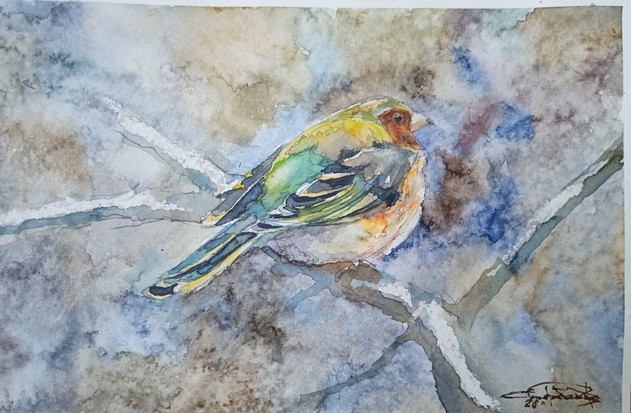 Birds No. 11 — watercolour by Serhii Shcherbakov