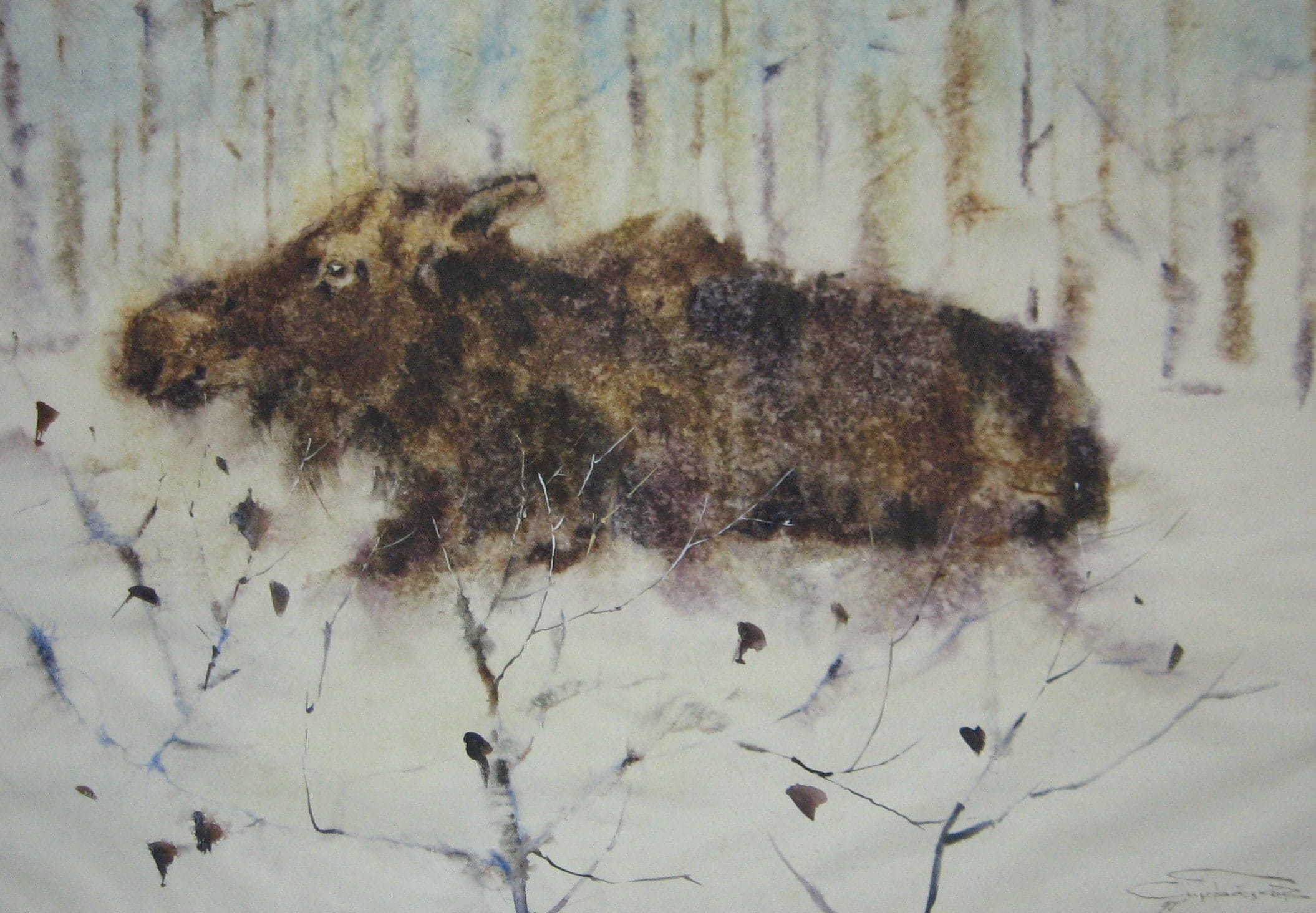 Moose Calf — watercolour by Serhii Shcherbakov
